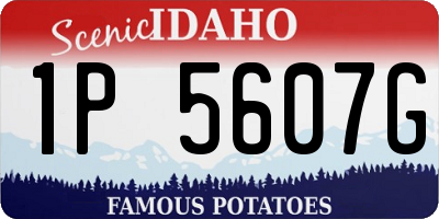 ID license plate 1P5607G