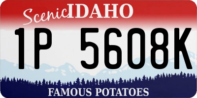 ID license plate 1P5608K