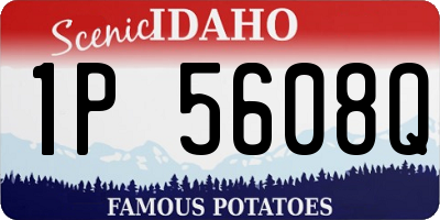 ID license plate 1P5608Q
