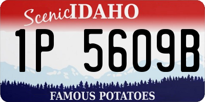 ID license plate 1P5609B