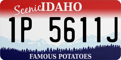 ID license plate 1P5611J