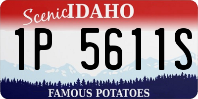 ID license plate 1P5611S