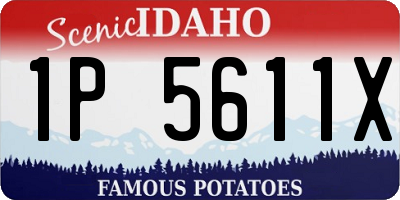 ID license plate 1P5611X