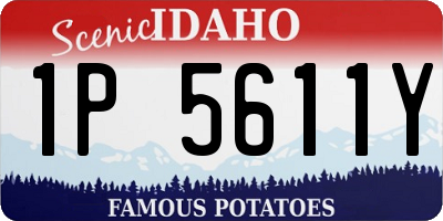 ID license plate 1P5611Y