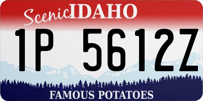 ID license plate 1P5612Z