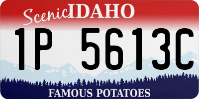 ID license plate 1P5613C