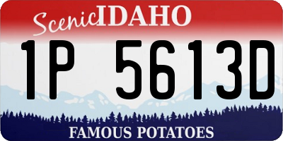 ID license plate 1P5613D
