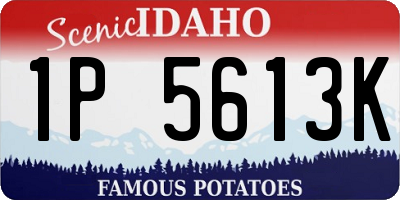 ID license plate 1P5613K