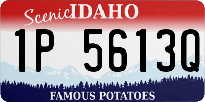 ID license plate 1P5613Q