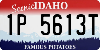 ID license plate 1P5613T