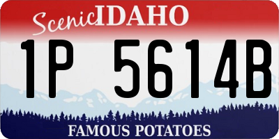 ID license plate 1P5614B