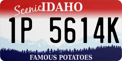 ID license plate 1P5614K