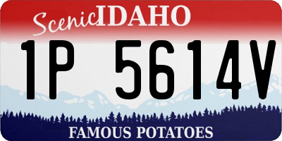 ID license plate 1P5614V