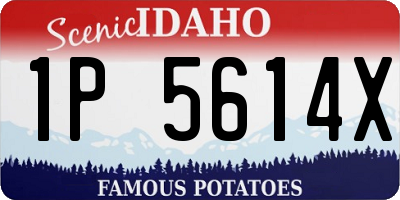 ID license plate 1P5614X
