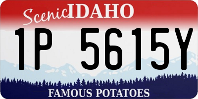 ID license plate 1P5615Y