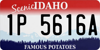 ID license plate 1P5616A