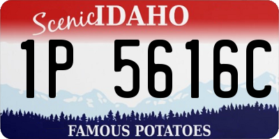 ID license plate 1P5616C
