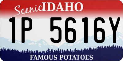 ID license plate 1P5616Y