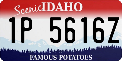 ID license plate 1P5616Z