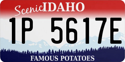 ID license plate 1P5617E
