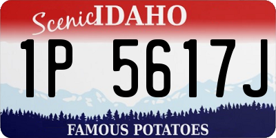 ID license plate 1P5617J