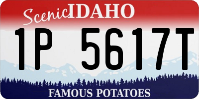 ID license plate 1P5617T