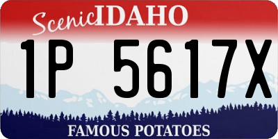 ID license plate 1P5617X