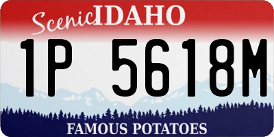 ID license plate 1P5618M