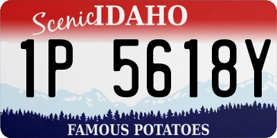 ID license plate 1P5618Y