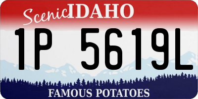 ID license plate 1P5619L