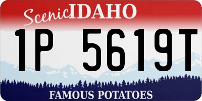 ID license plate 1P5619T
