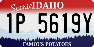 ID license plate 1P5619Y