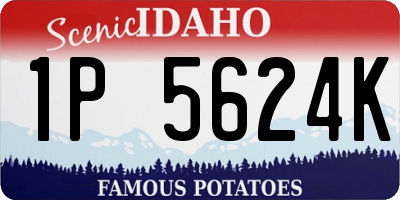 ID license plate 1P5624K