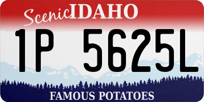 ID license plate 1P5625L