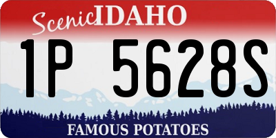 ID license plate 1P5628S