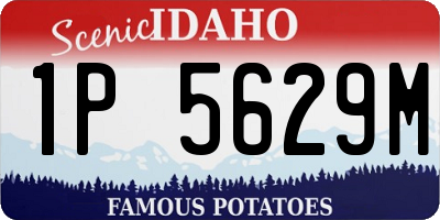 ID license plate 1P5629M