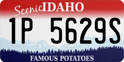 ID license plate 1P5629S