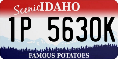 ID license plate 1P5630K