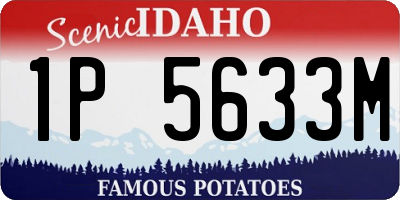 ID license plate 1P5633M