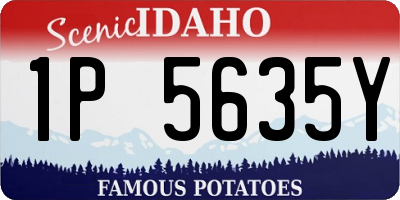 ID license plate 1P5635Y