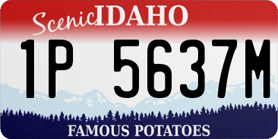 ID license plate 1P5637M
