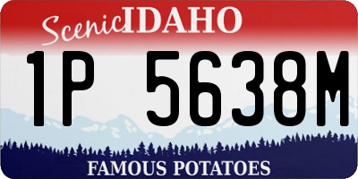 ID license plate 1P5638M