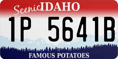 ID license plate 1P5641B