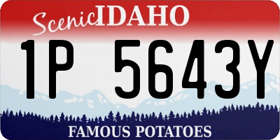 ID license plate 1P5643Y