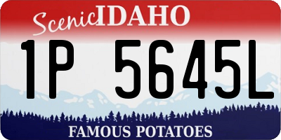 ID license plate 1P5645L