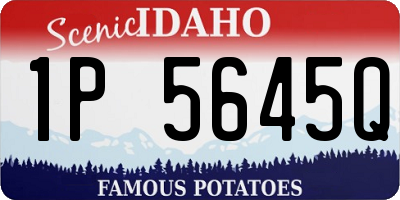 ID license plate 1P5645Q