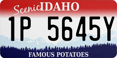 ID license plate 1P5645Y