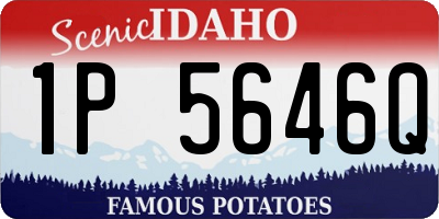 ID license plate 1P5646Q