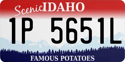 ID license plate 1P5651L