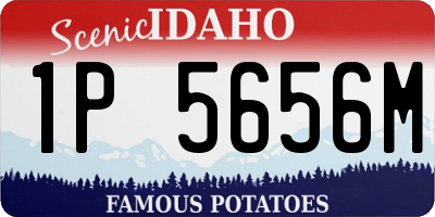 ID license plate 1P5656M
